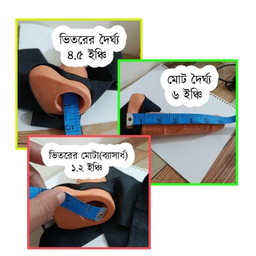 Korean Belt Wellness